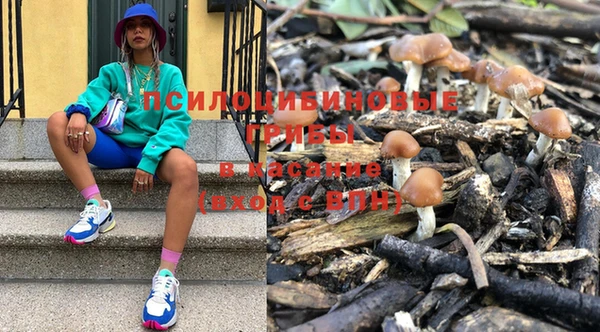 дурь Абаза