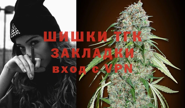 дмт Алзамай