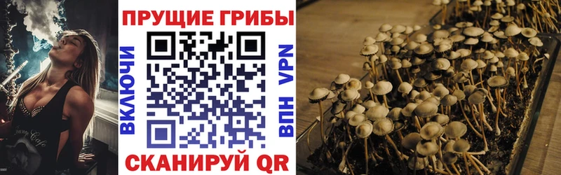 Галлюциногенные грибы прущие грибы  Красавино 